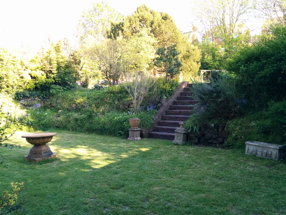 our garden in the evening