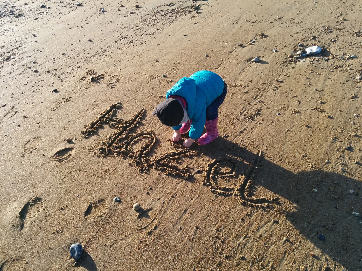 Hazel on the sand