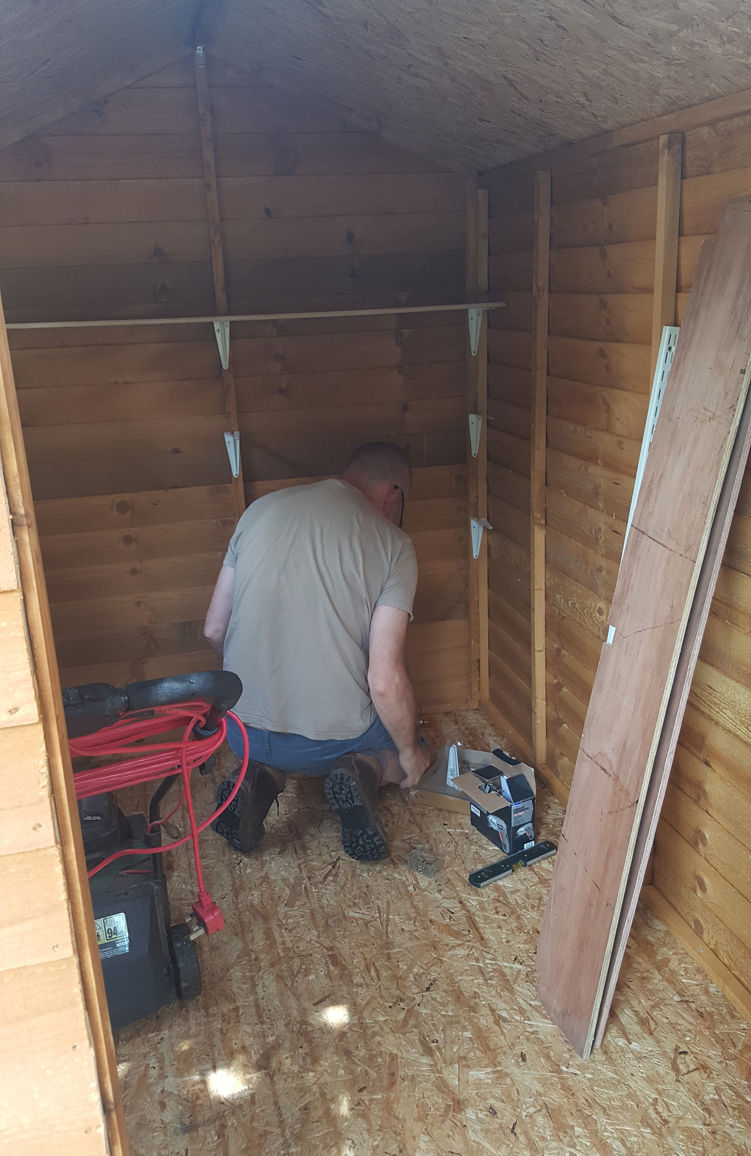 fixing shelves in the new shed