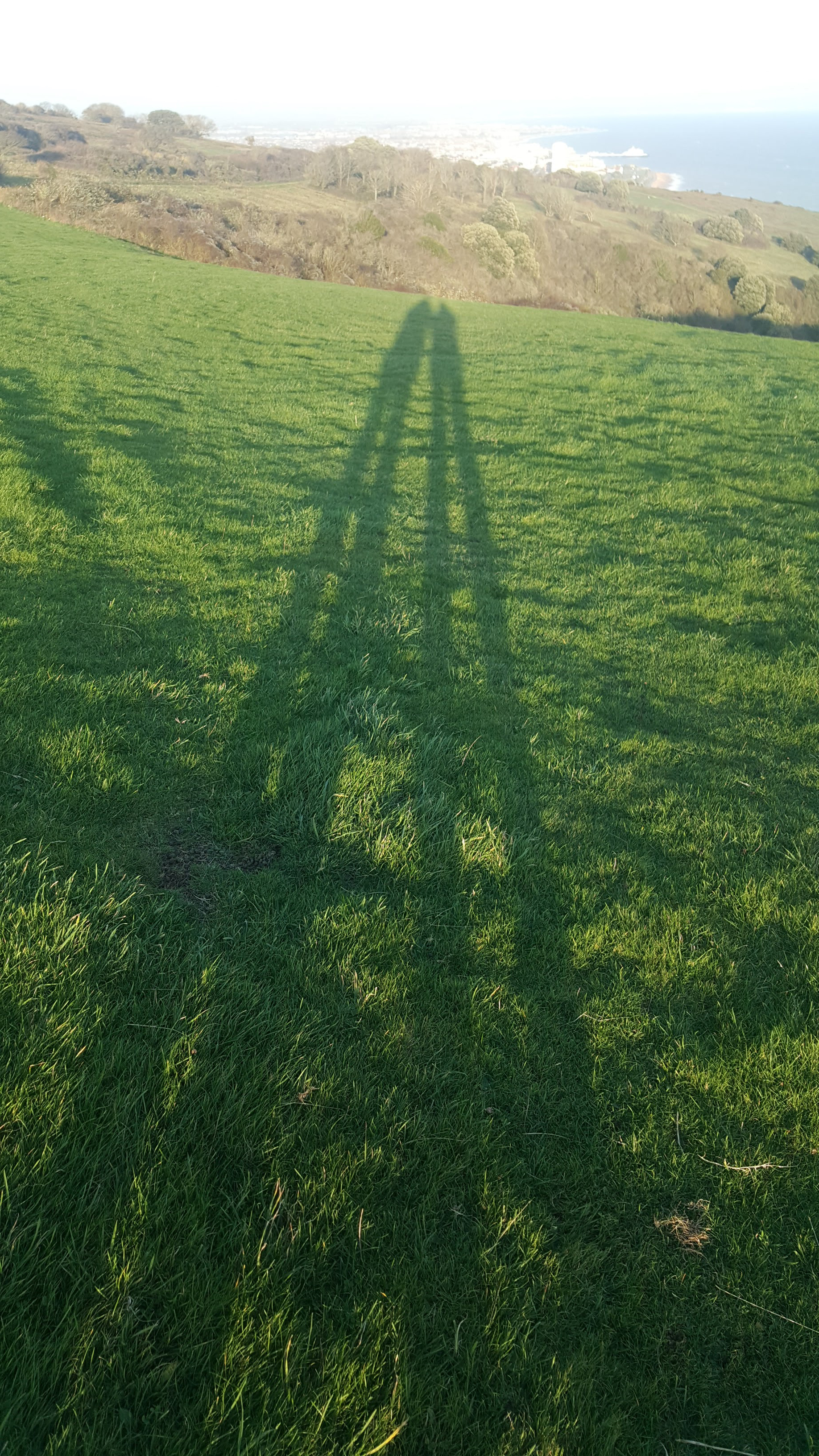 long legs shadows