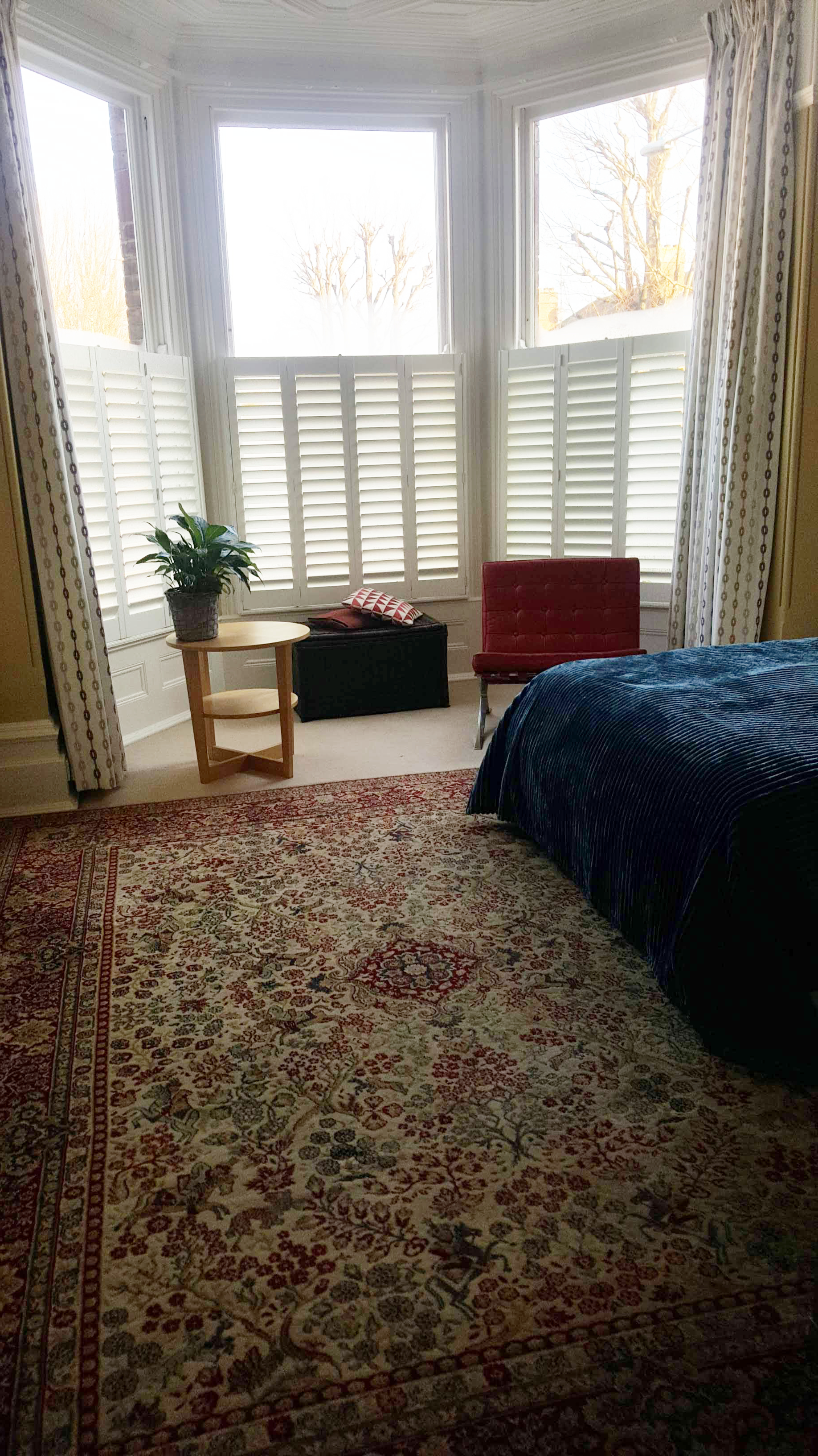 Carpet in bedroom