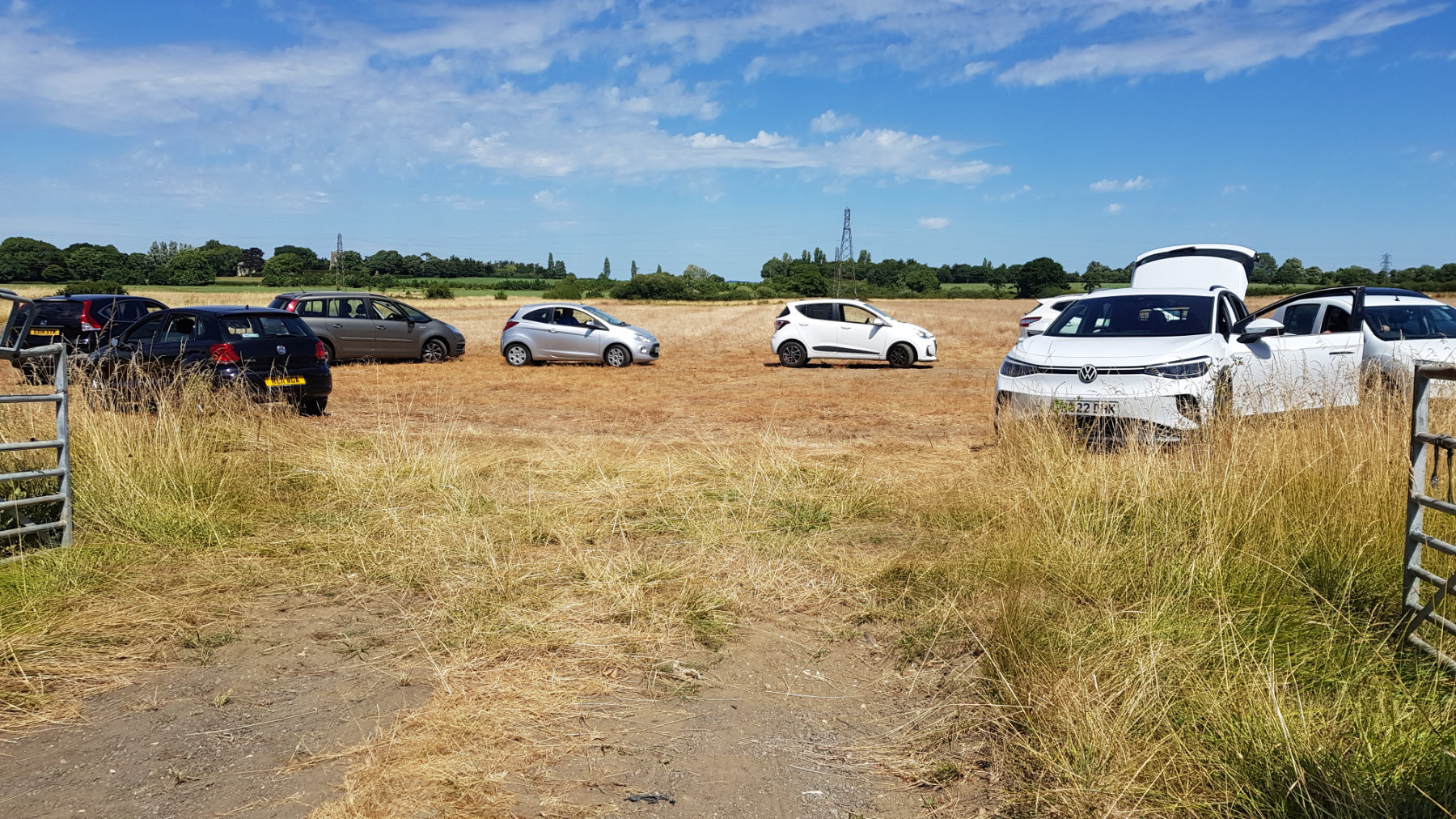 cars in a field