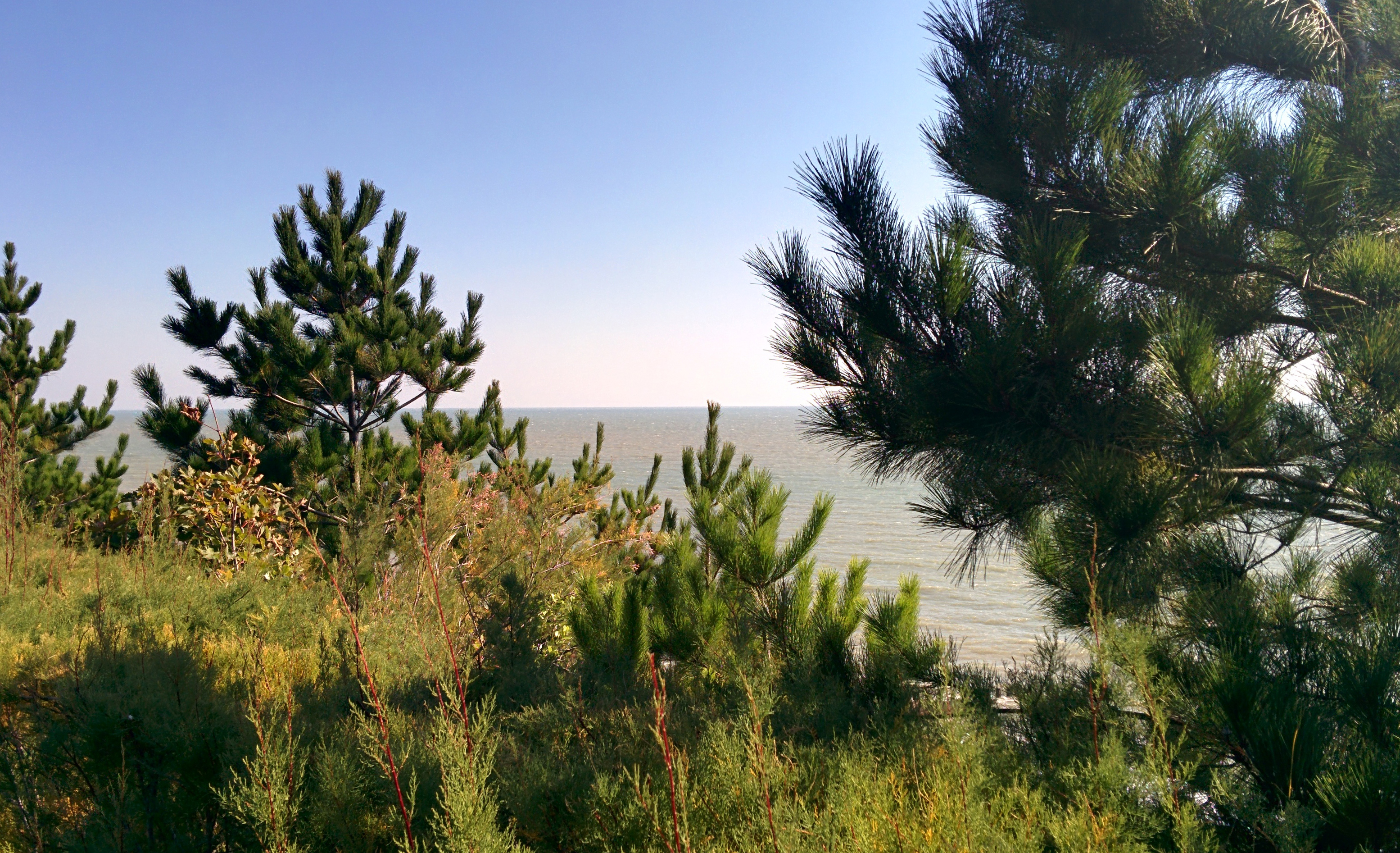 October seafront Eastbourne