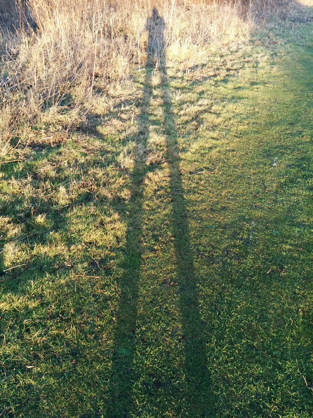 Giant shadow