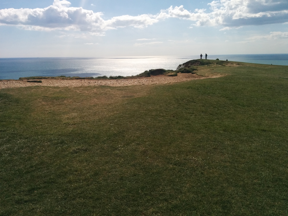 top of beauty head - An Eastbourne Diary