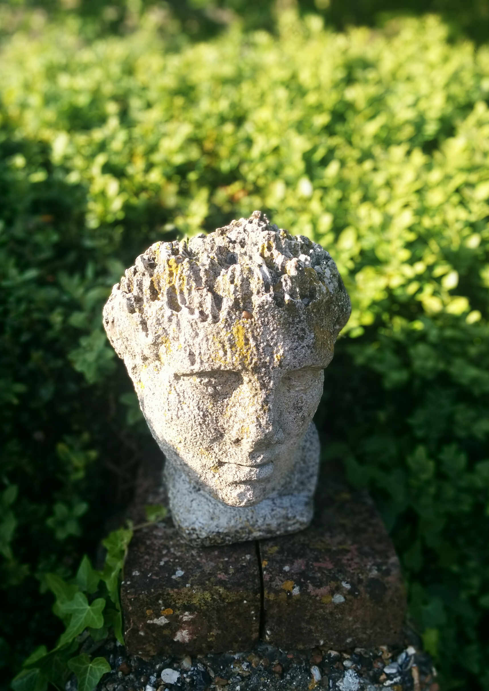 Charleston - garden head