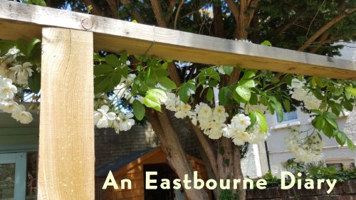 An Eastbourne Diary