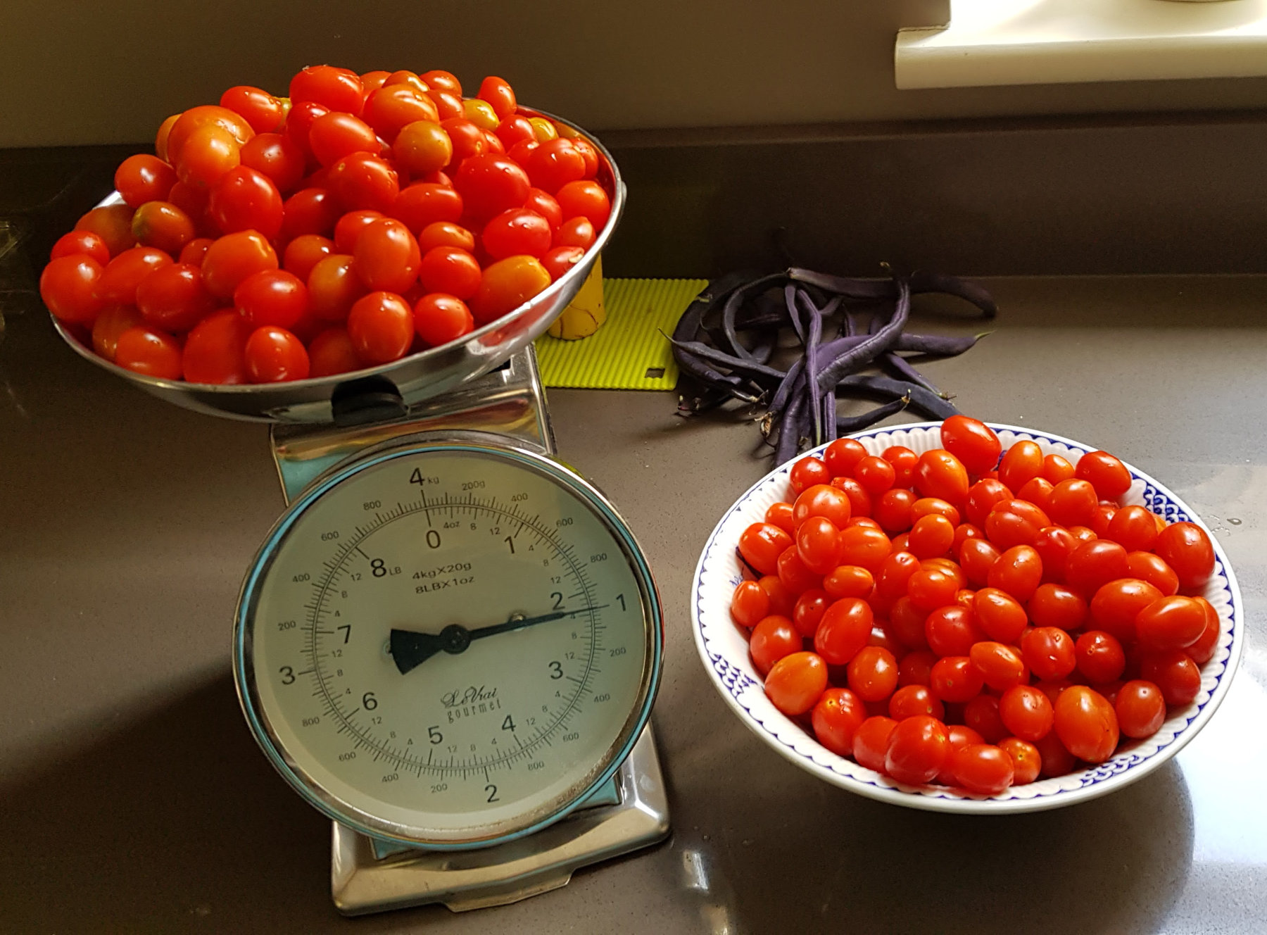 bumper-tomato-crop