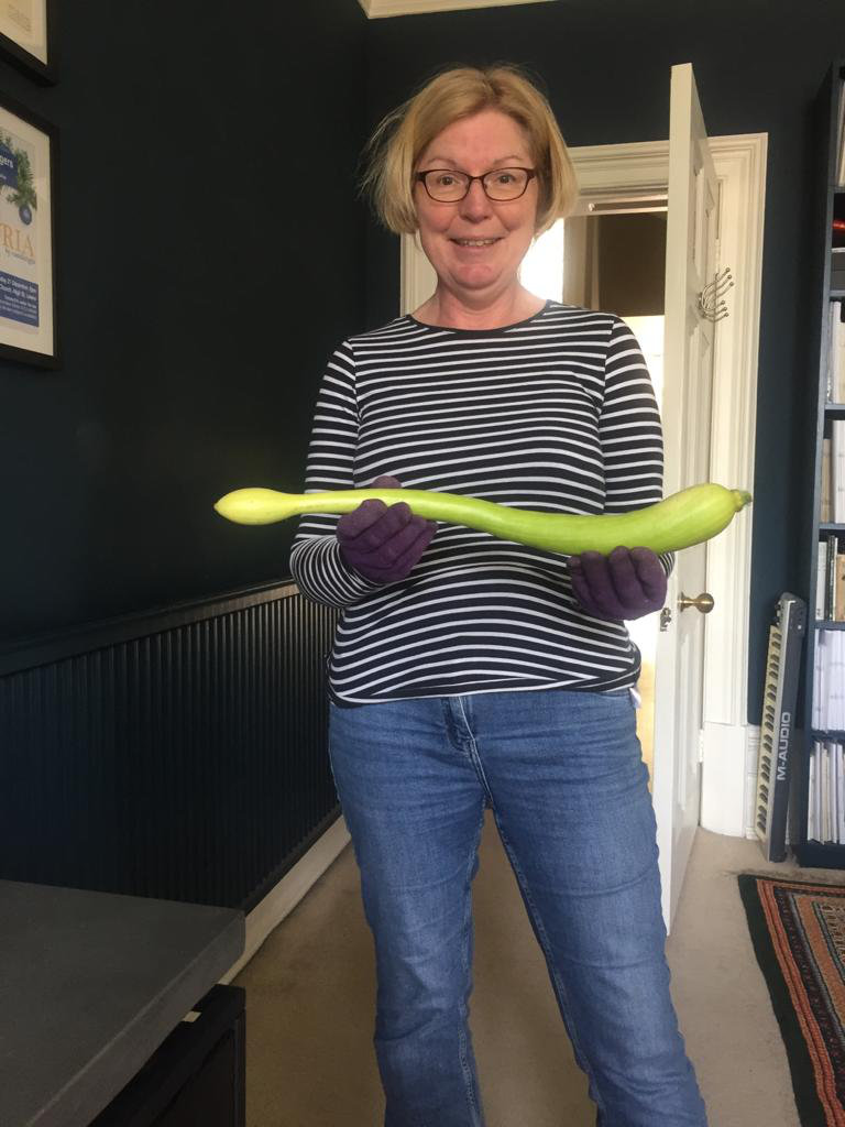 huge courgette
