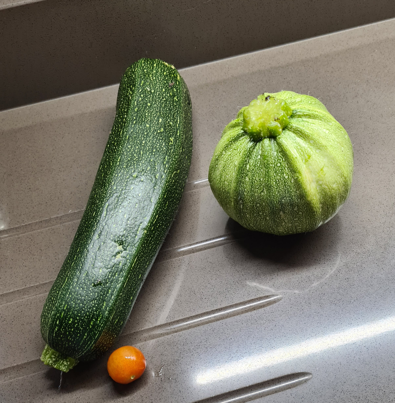 BIG courgettes!